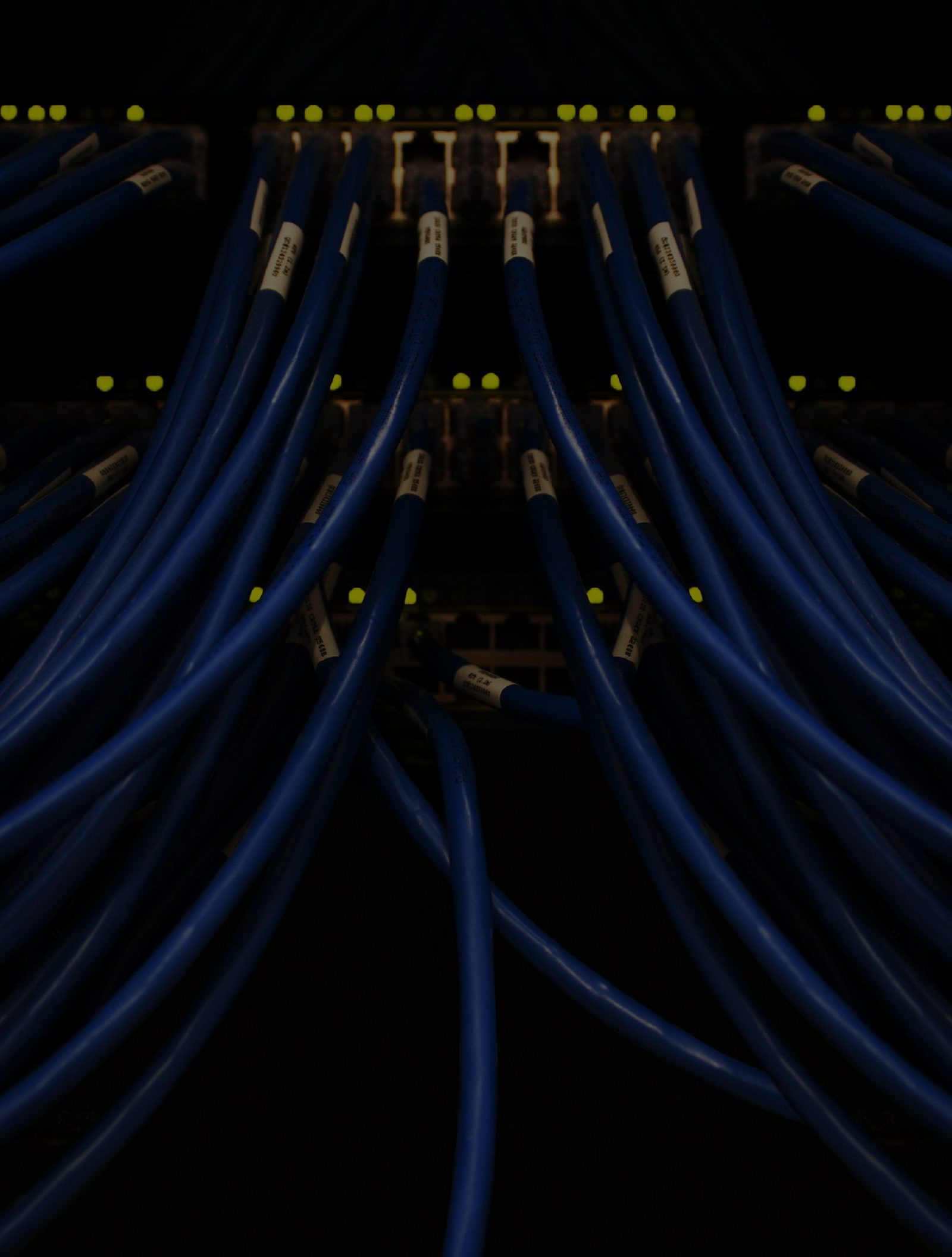 Blue network cables running neatly into a lit patch panel